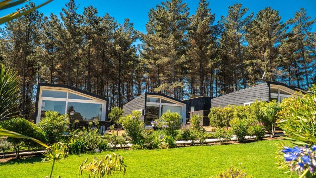Curi Lodge Pichilemu Exteriör bild
